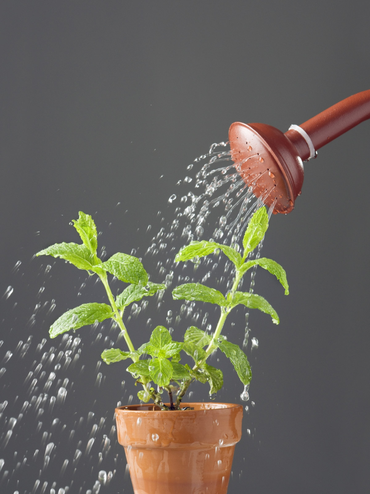 Marketing para Pequenas Empresas